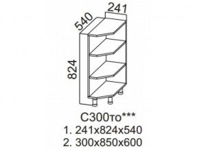 С300то Стол-рабочий 300 (торцевой открытый) в Усолье - usole.магазин96.com | фото