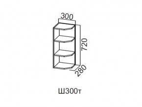 Ш300т/720 Шкаф навесной 300/720 (торцевой) в Усолье - usole.магазин96.com | фото