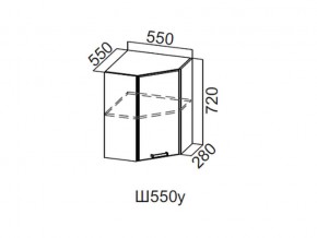 Ш550у/720 Шкаф навесной 550/720 (угловой) в Усолье - usole.магазин96.com | фото