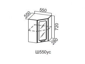 Ш550ус/720 Шкаф навесной 550/720 (угловой со стеклом) в Усолье - usole.магазин96.com | фото