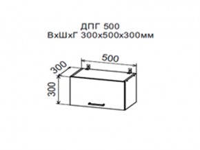 Шкаф верхний ДПГ500 горизонтальный в Усолье - usole.магазин96.com | фото