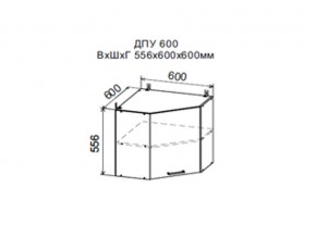 Шкаф верхний ДПУ600 угловой в Усолье - usole.магазин96.com | фото